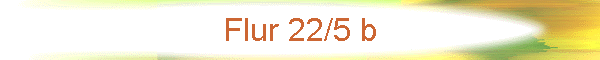 Flur 22/5 b